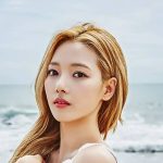 Somin