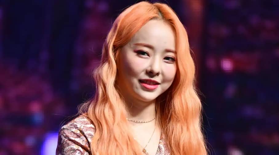 ViVi